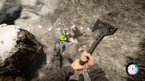 Sons of the Forest: How To Catch Fish .